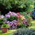 Independence Garden Design by Ground Breakers Landscaping and Demolition LLC